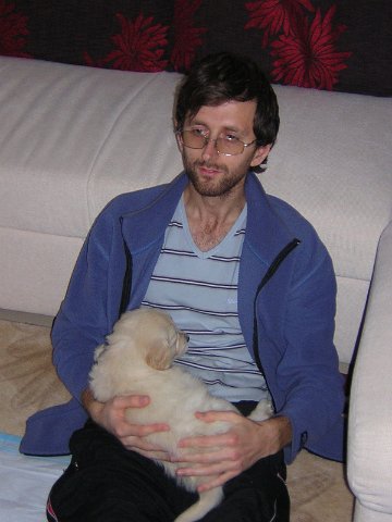 Original image